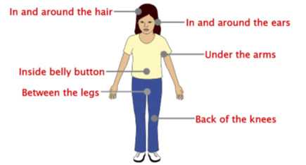 image of a woman showing where to check the body for ticks. In and around hair, in and around ears, under the arms, inside belly button, between the legs, and back of the knees 