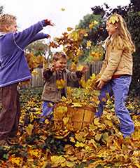 Children playing in a pile of leaves