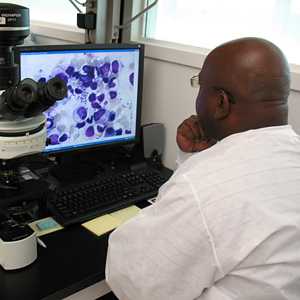 CDC microbiologist reviewing a telediagnosis request