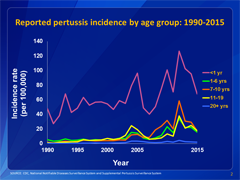 This graph shows reported pertussis incidence (per 100,000 persons) by age group in the United States from 1990â2015. Infants aged <1 year, who are at greatest risk for serious disease and death, continue to have the highest reported rate of pertussis