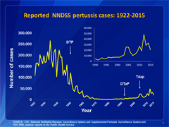 This graph illustrates the number of pertussis cases reported to CDC from 1922 to 2015. Following the introduction of pertussis vaccines in the 1940s when case counts frequently exceeded 100,000 cases per year, reports declined dramatically to fewer than 10,000 by 1965. During the 1980s pertussis reports began increasing gradually, and by 2015 more than 20,000 cases were reported nationwide