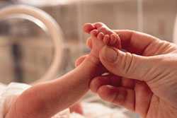 Foto de un pequeño bebé prematuro en una incubadora con la mano de un adulto que le sostiene el pie cariñosamente.