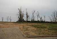 A former driveway in Joplin, Missouri - December 20, 2012