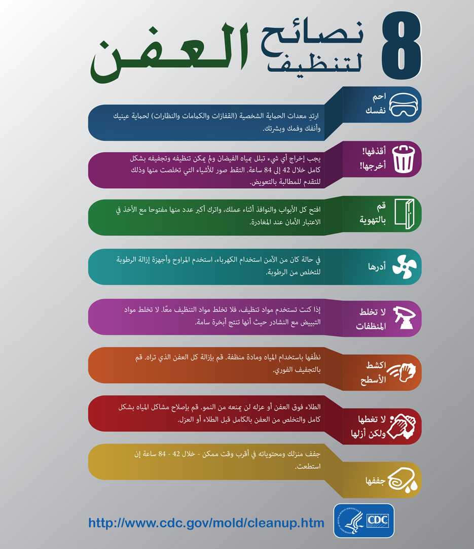 Mold Infographic - Arabic