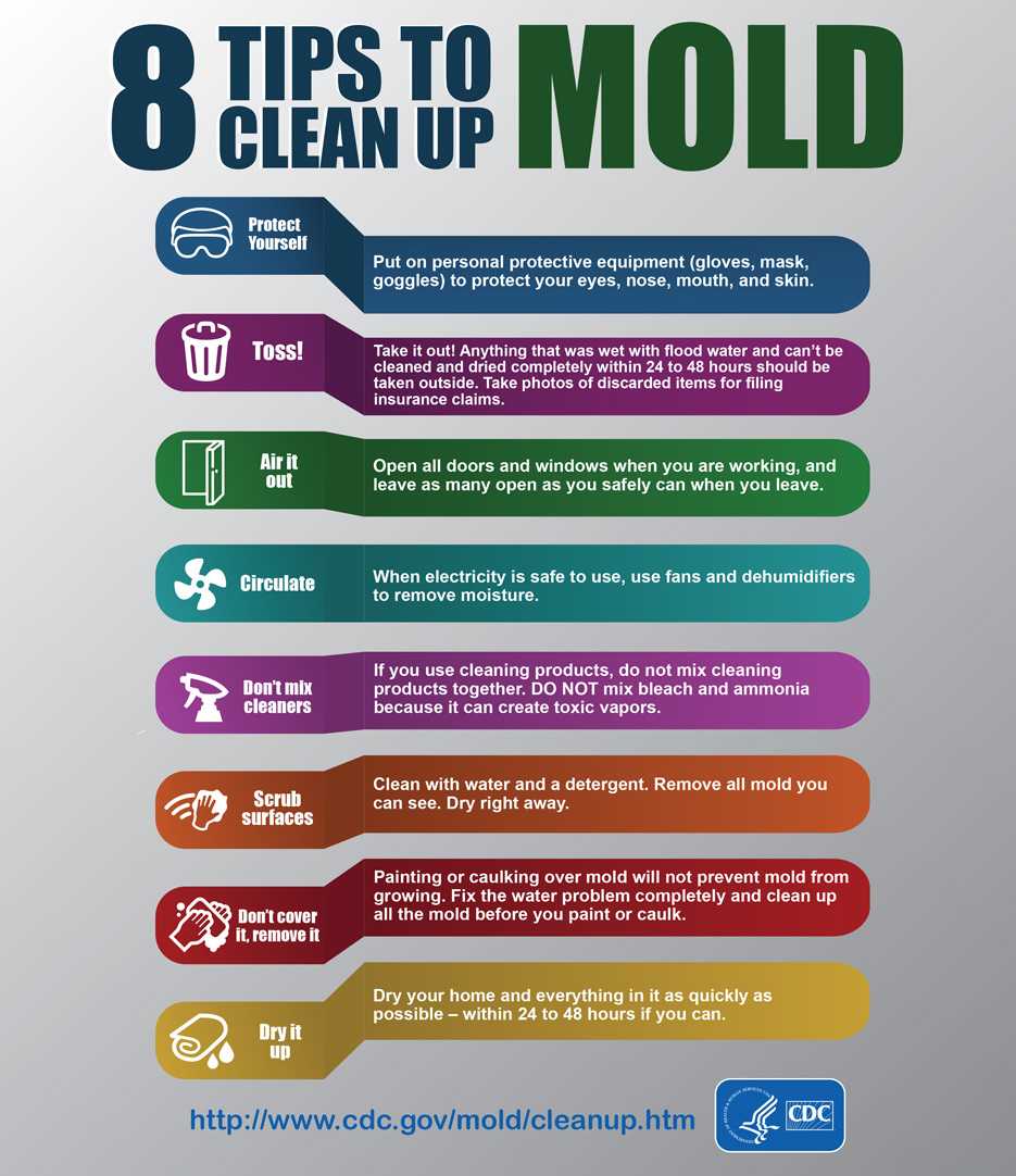 Mold Infographic