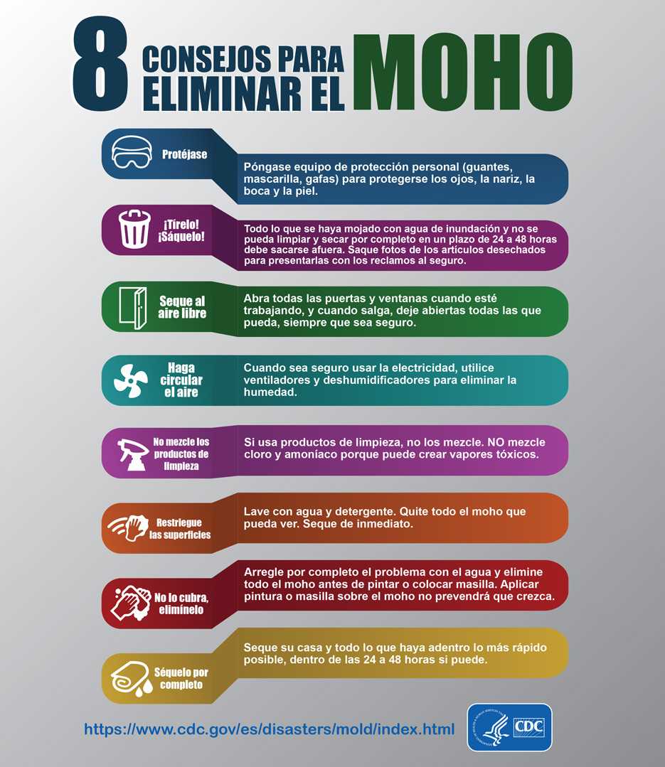 Mold Infographic - Spanish