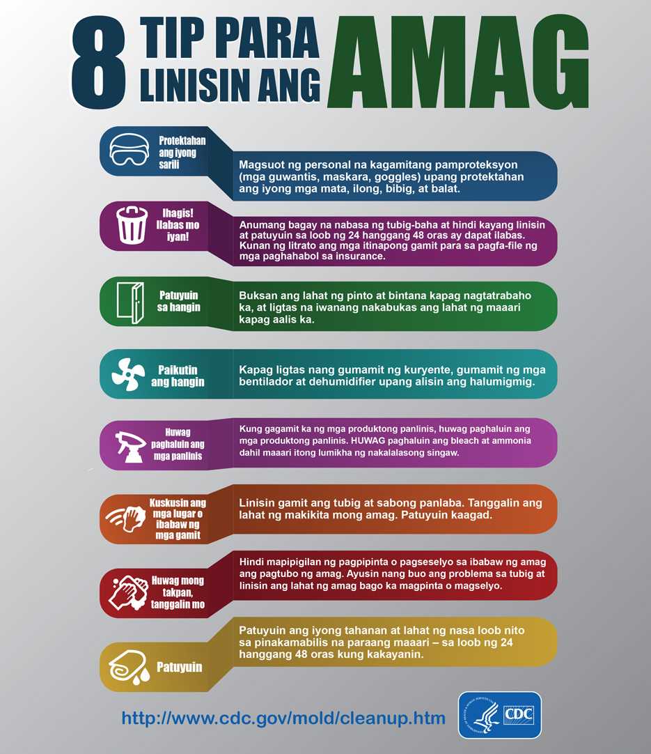 Mold Infographic - Tagalog