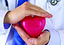 Dr. Holding a Heart