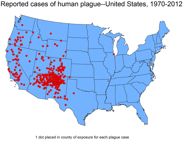 Human plague cases in the United States, 1970-2012. All naturally occurring cases of human plague occur in the western United States, with a majority of cases clustering in northern New Mexico and Arizona and southern Colorado.