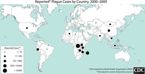 Plague occurs on all continents except Europe and Australia. Central and east Africa have the most reported plague for the years 2000-2009.  Additional clusters of cases during this time period occurred in northern Africa, central Asia, southeast Asia, China, India, Madagascar, Peru, and the United States.