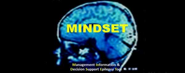 MINDSET. Management Information and Decision Support Epilepsy Tool