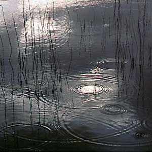 Photo of rain drops falling on a pond
