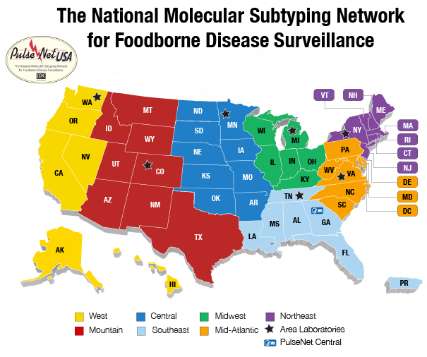 USA map showing 83 federal, regional, state, and local laboratories divided into seven regions that make up PulseNet. There is at least one PulseNet laboratory in every state.