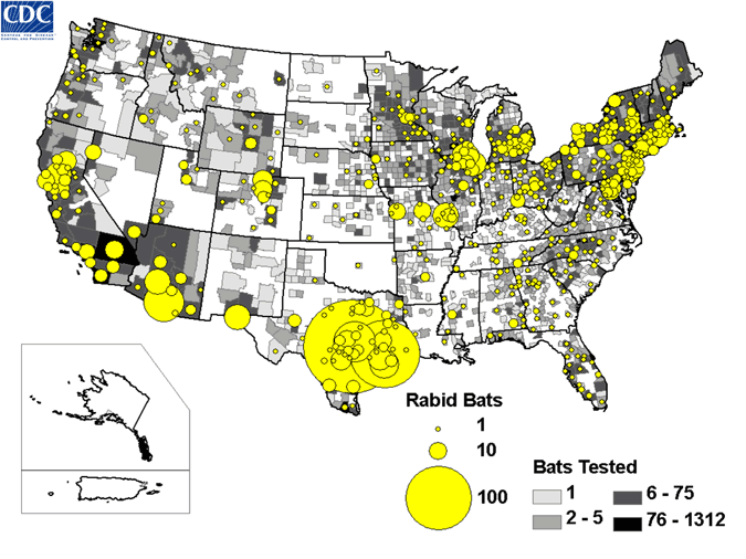 Map of rabid bats reported in the United States during 2008