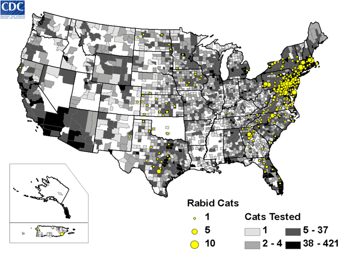 Map of rabid cats reported in the United States during 2008