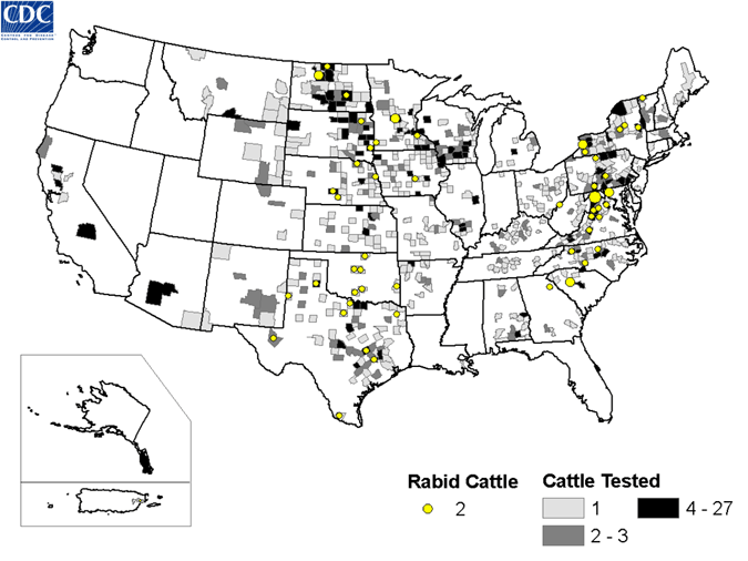 Map of rabid cattle reported in the United States during 2008