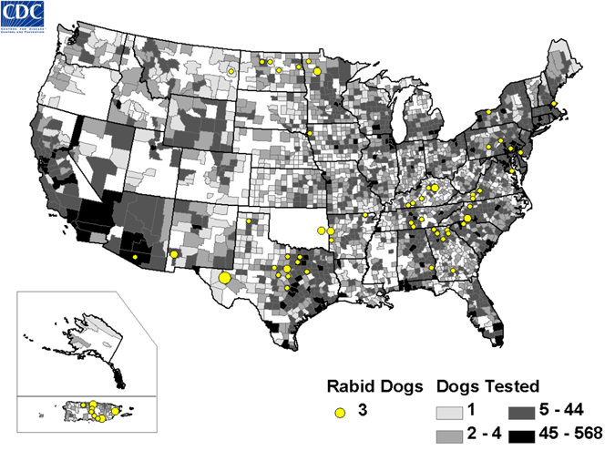 Map of rabid dogs reported in the United States during 2008