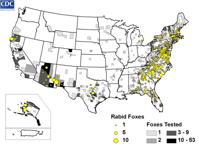 Map of rabid foxes reported in the United States during 2008