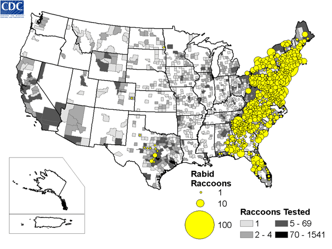 Map of rabid raccoons reported in the United States during 2008