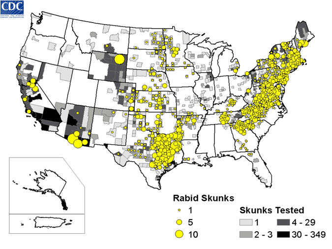 Map of rabid skunks reported in the United States during 2008