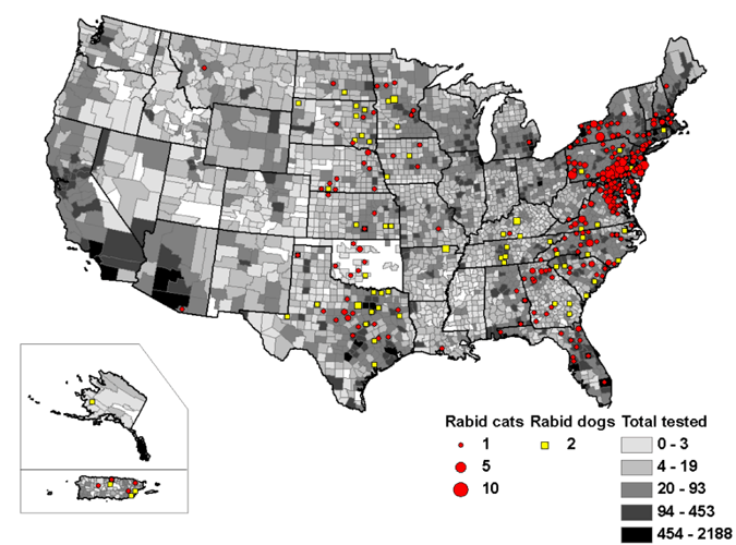 Map of rabid cats and dogs reported in the United States during 2009