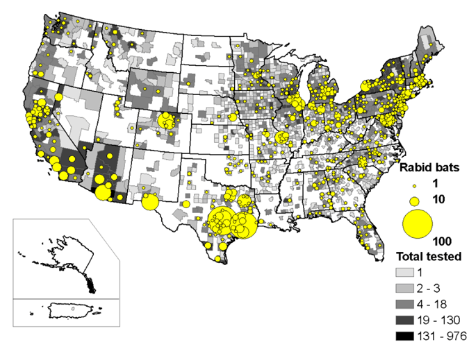 Map of rabid bats reported in the United States during 2009