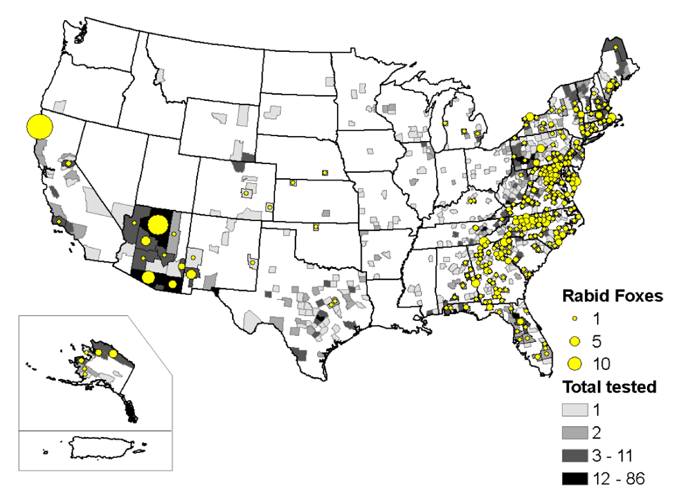 A map of rabid foxes reported in the United States during 2009.