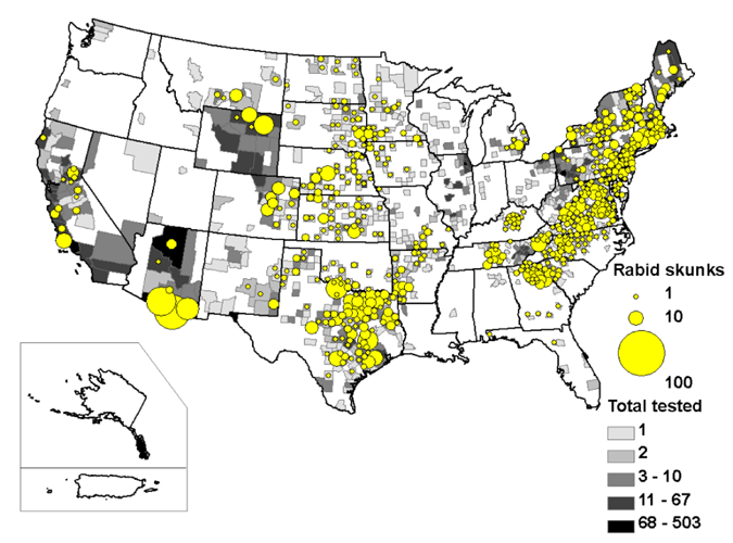 A map of rabid skunks reported in the United States during 2009.