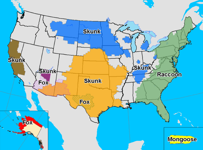A map of terrestrial rabies reservoirs in the United States during 2009.