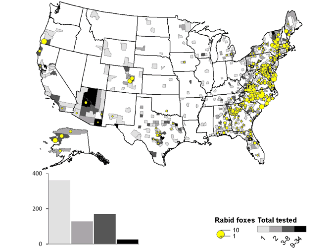 A map of rabid foxes reported in the United States during 2010.