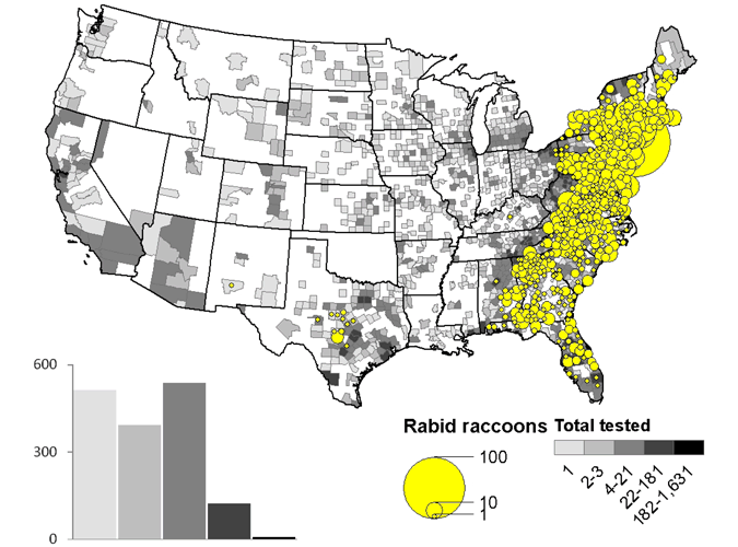 A map of rabid raccoons reported in the United States during 2010.