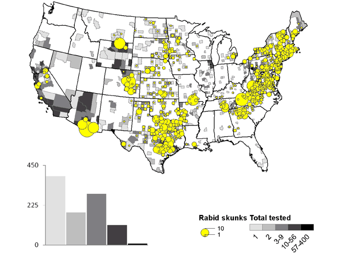 A map of rabid skunks reported in the United States during 2010.