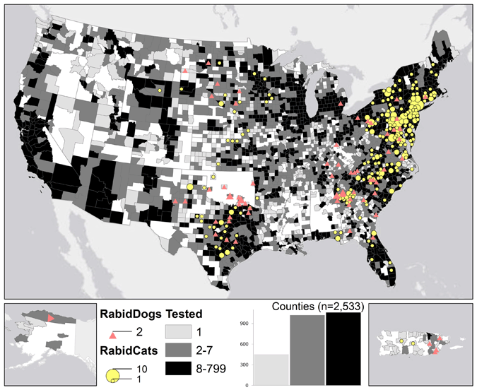 A map of rabid dogs and cats reported in the United States during 2011.