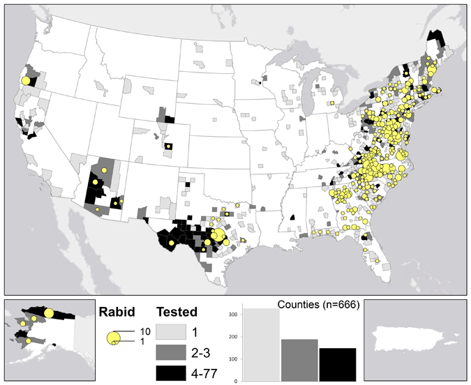 A map of rabid foxes reported in the United States during 2011.
