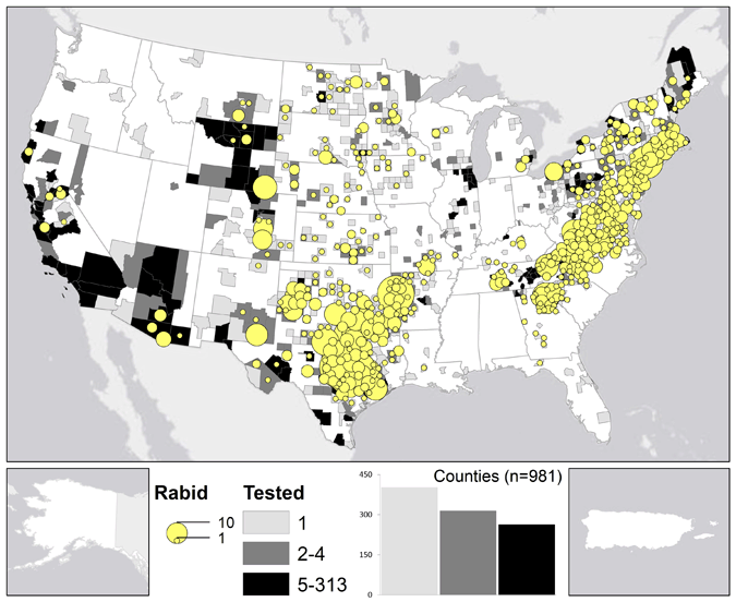 A map of rabid skunks reported in the United States during 2011.