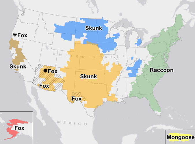 A map of terrestrial rabies reservoirs in the United States during 2011.