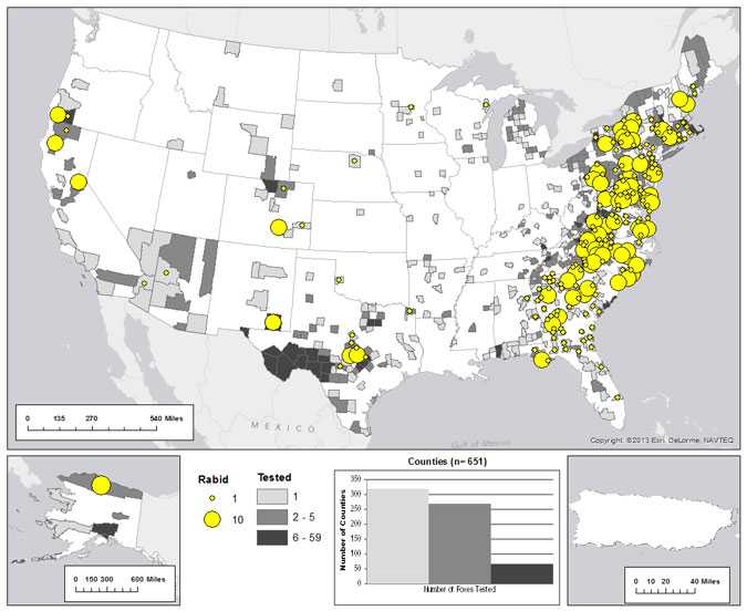 Map of rabid foxes reported in the United States during 2012. Cases primarily distributed in eastern United States.