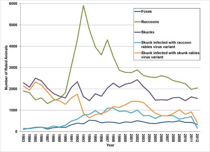 A graph of rabid wild animals reported in the United States from 1983-2012.