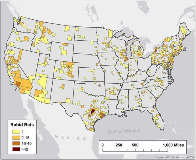 Map of rabid bats reported in the United States during 2013.