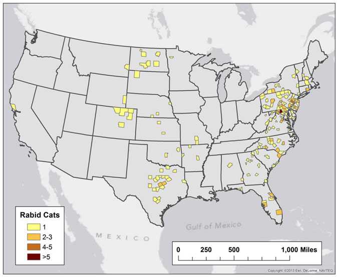 Map of Reported cases of rabies involving dogs and cats, by county, 2013.