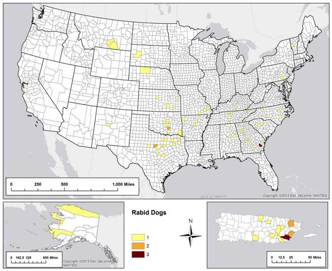 MAp of Reported cases of rabies involving dogs, by county, 2013.