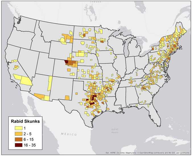 Map of rabid skunks reported in the United States during 2013