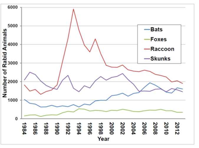 Graph of rabid wild animals reported in the United States from 1984-2013.