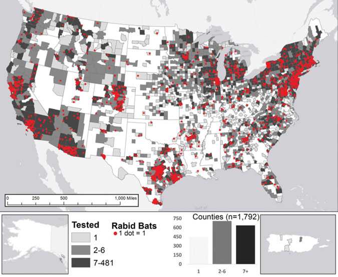 Reported cases of rabies in bats, by county, 2014