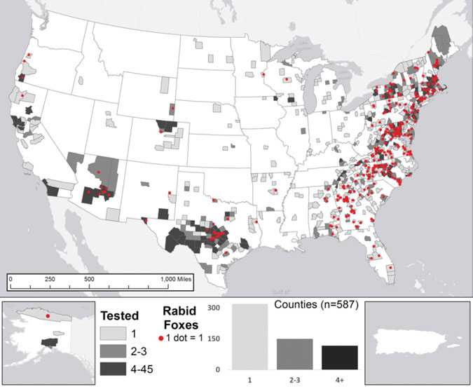 Reported cases of rabies in foxes, by county, 2014