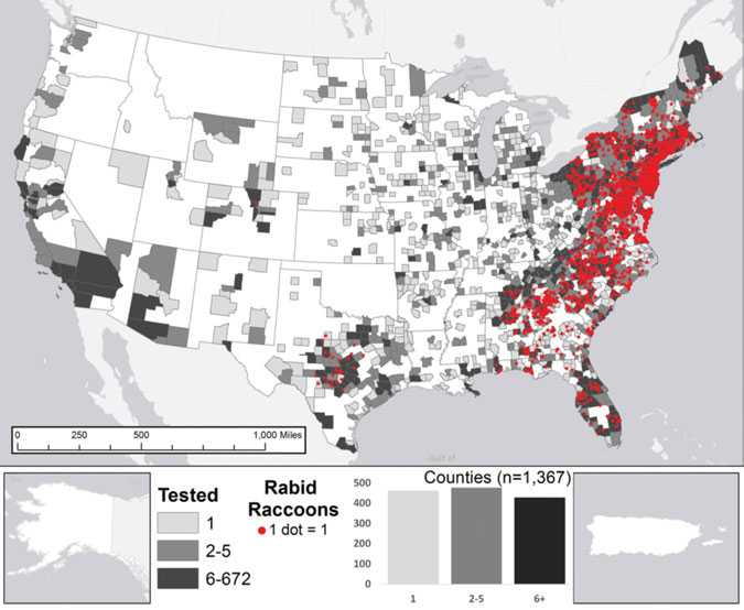 Reported cases of rabies in raccoons, by county, 2014 