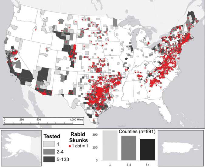 Reported cases of rabies in skunks, by county, 2014