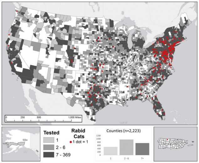 The figure shows a map of the United States with highlighted counties where rabid cats were tested during 2015. Histogram represents number of counties in each category (light grey for 1 tested animal; medium grey for 2 - 6 tested animals; and dark grey for 7 to 369 tested animals) for total number of cats submitted for rabies testing. Point locations (red dots) for rabid cats were randomly selected within each reporting jurisdiction. The majority of cases occurred in eastern United States. The total number of reported cases involving cats in 2015 was 244, representing 58.1 percent of all reported cases involving domestic animals in 2015.
