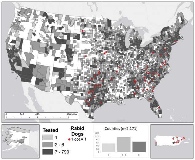 The figure shows a map of the United States with highlighted counties where rabid dogs were tested during 2015. Histogram represents number of counties in each category (light grey for 1 tested animal; medium grey for 2 - 6 tested animals; and dark grey for 7 - 790 tested animals) for total number of dogs submitted for rabies testing. Point locations (red dots) for rabid dogs were randomly selected within each reporting jurisdiction. Most of the rabid dogs were reported from Texas (13 cases, 19.4 percent), Puerto Rico (8 cases, 11.9 percent), North Carolina (6 cases, 9.0 percent), Georgia (6 cases, 9.0 percent), and Oklahoma (6 cases, 9.0 percent). The total number of reported cases involving dogs in 2015 was 67, representing 16.0 percent of all reported cases involving domestic animals in 2015.