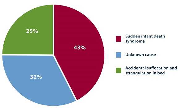 The breakdown of sudden unexpected infant deaths by cause in 2014 is as follows: 44% of cases were categorized as sudden infant death syndrome, followed by unknown cause (31%), and accidental suffocation and strangulation in bed (25%).